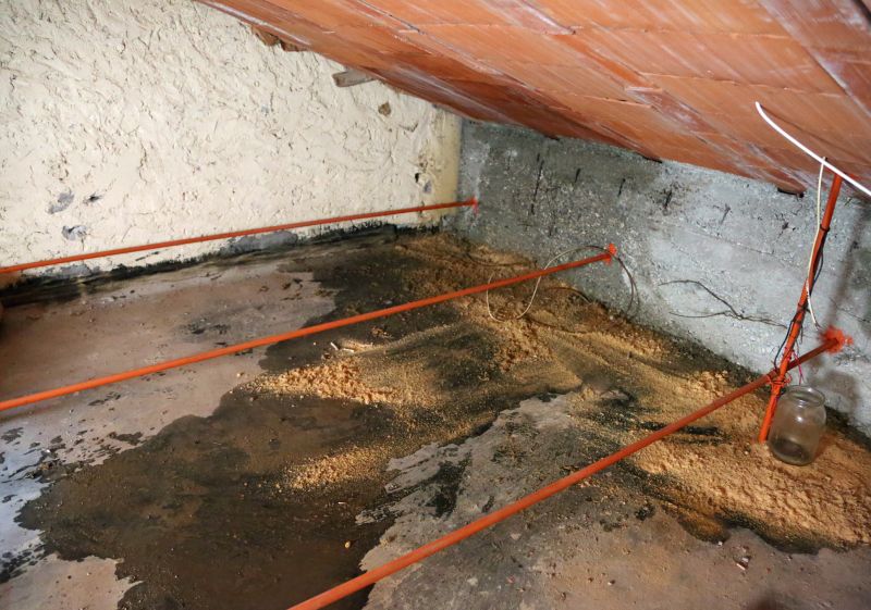 Bathroom Water Damage Repair in Denver, CO