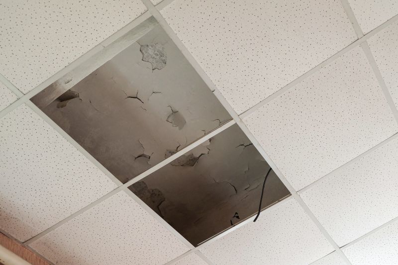 Ceiling Leak Repair Service in Littleton, CO