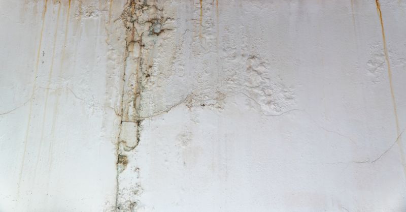 Ceiling Leak Repair Service in Denver, CO