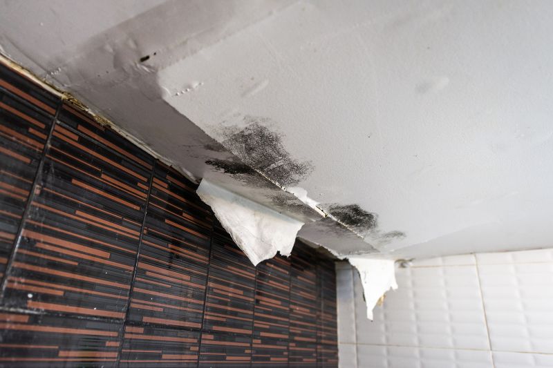 Ceiling Leak Repair Service in Summerville, SC