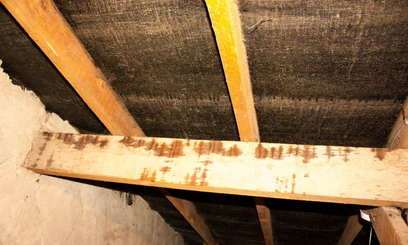 House Restoration in Charleston, SC